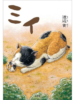 cover image of ミイ